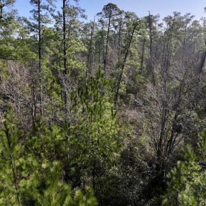 Photo #18 of SOLD property in 280 Arant Farm Rd, Merritt, NC 10.1 acres