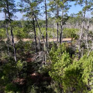 Photo #19 of SOLD property in 280 Arant Farm Rd, Merritt, NC 10.1 acres