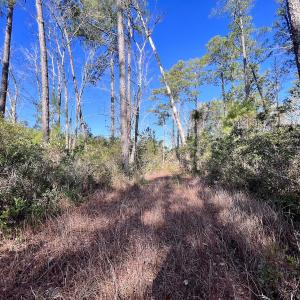 Photo #20 of SOLD property in 280 Arant Farm Rd, Merritt, NC 10.1 acres