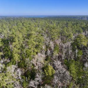 Photo #4 of SOLD property in 280 Arant Farm Rd, Merritt, NC 10.1 acres