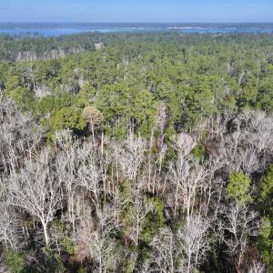 Photo #8 of SOLD property in 280 Arant Farm Rd, Merritt, NC 10.1 acres