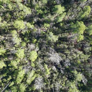 Photo #22 of SOLD property in 280 Arant Farm Rd, Merritt, NC 10.1 acres