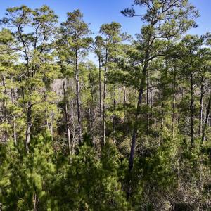 Photo #23 of SOLD property in 280 Arant Farm Rd, Merritt, NC 10.1 acres