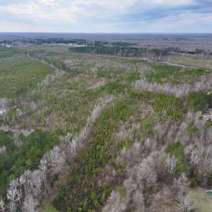 Photo #2 of SOLD property in Off Martin Luther Rd, Plymouth, NC 20.1 acres