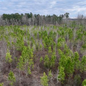 Photo #14 of SOLD property in Off Martin Luther Rd, Plymouth, NC 20.1 acres