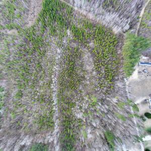Photo #18 of SOLD property in Off Martin Luther Rd, Plymouth, NC 20.1 acres