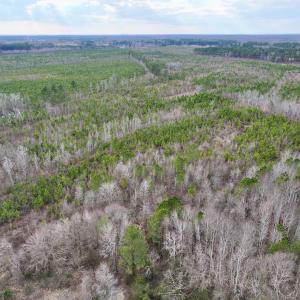 Photo #3 of SOLD property in Off Martin Luther Rd, Plymouth, NC 20.1 acres