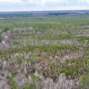 Photo #4 of SOLD property in Off Martin Luther Rd, Plymouth, NC 20.1 acres