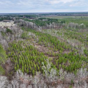 Photo #5 of SOLD property in Off Martin Luther Rd, Plymouth, NC 20.1 acres