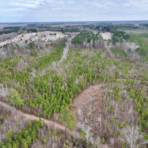 Photo #6 of SOLD property in Off Martin Luther Rd, Plymouth, NC 20.1 acres