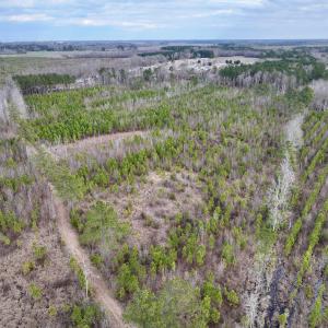 Photo #7 of SOLD property in Off Martin Luther Rd, Plymouth, NC 20.1 acres