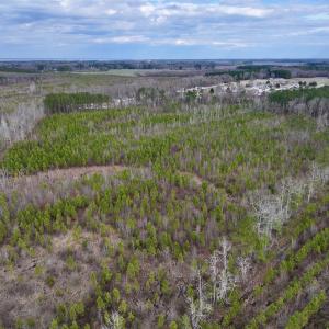 Photo #8 of SOLD property in Off Martin Luther Rd, Plymouth, NC 20.1 acres