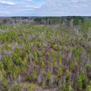 Photo #9 of SOLD property in Off Martin Luther Rd, Plymouth, NC 20.1 acres