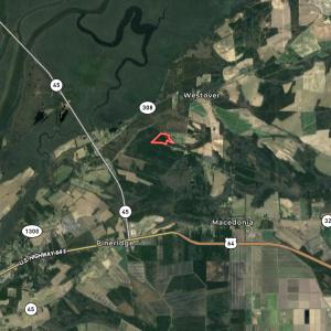 Photo #19 of SOLD property in Off Martin Luther Rd, Plymouth, NC 20.1 acres
