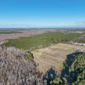 Photo #4 of SOLD property in 571 Old Cherry Rd, Creswell, NC 26.0 acres