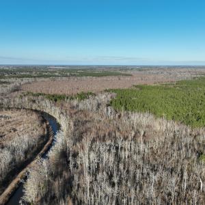 Photo #5 of SOLD property in 571 Old Cherry Rd, Creswell, NC 26.0 acres