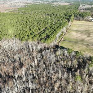 Photo #6 of SOLD property in 571 Old Cherry Rd, Creswell, NC 26.0 acres