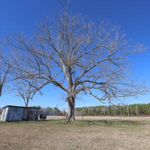 Photo #29 of SOLD property in 571 Old Cherry Rd, Creswell, NC 26.0 acres