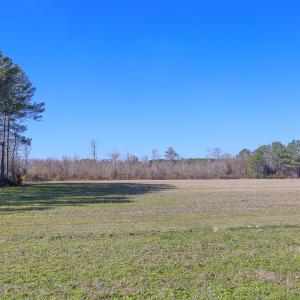 Photo #32 of SOLD property in 571 Old Cherry Rd, Creswell, NC 26.0 acres