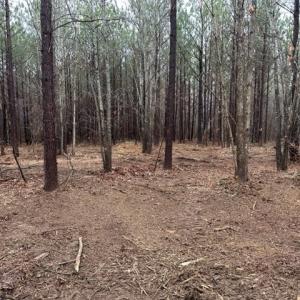 Photo #28 of SOLD property in Off Pony Farm Drive, Siler City, NC 8.1 acres