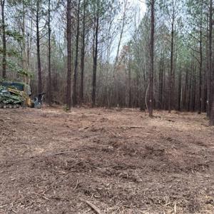 Photo #32 of SOLD property in Off Pony Farm Drive, Siler City, NC 8.1 acres