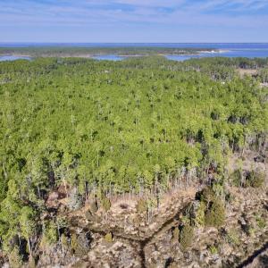 Photo #12 of SOLD property in 794 Wheaton Point Road, Aurora, NC 40.8 acres