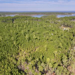 Photo #13 of SOLD property in 794 Wheaton Point Road, Aurora, NC 40.8 acres