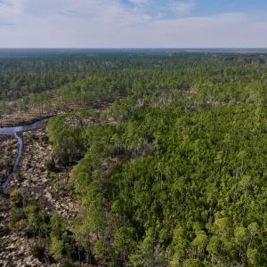 Photo #19 of SOLD property in 794 Wheaton Point Road, Aurora, NC 40.8 acres