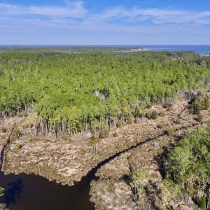 Photo #4 of SOLD property in 794 Wheaton Point Road, Aurora, NC 40.8 acres