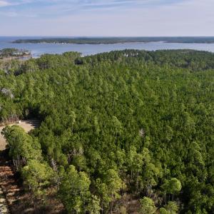 Photo #5 of SOLD property in 794 Wheaton Point Road, Aurora, NC 40.8 acres