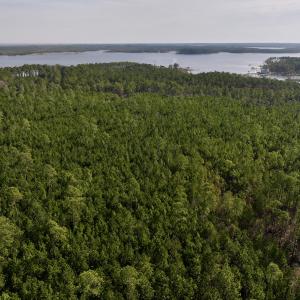 Photo #6 of SOLD property in 794 Wheaton Point Road, Aurora, NC 40.8 acres