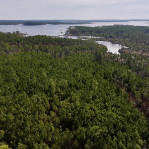 Photo #7 of SOLD property in 794 Wheaton Point Road, Aurora, NC 40.8 acres
