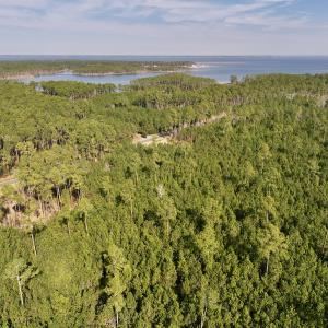 Photo #10 of SOLD property in 794 Wheaton Point Road, Aurora, NC 40.8 acres