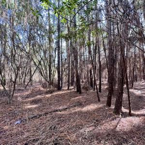 Photo #21 of SOLD property in 794 Wheaton Point Road, Aurora, NC 40.8 acres