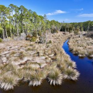 Photo #25 of SOLD property in 794 Wheaton Point Road, Aurora, NC 40.8 acres