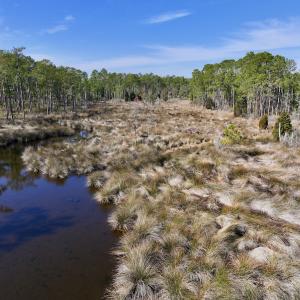 Photo #26 of SOLD property in 794 Wheaton Point Road, Aurora, NC 40.8 acres