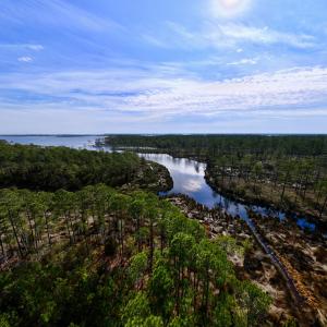 Photo #27 of SOLD property in 794 Wheaton Point Road, Aurora, NC 40.8 acres