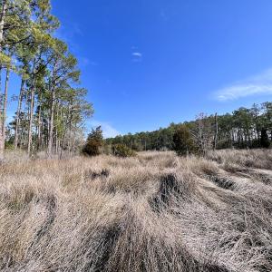 Photo #33 of SOLD property in 794 Wheaton Point Road, Aurora, NC 40.8 acres