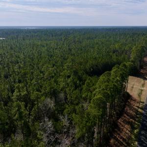 Photo #34 of SOLD property in 794 Wheaton Point Road, Aurora, NC 40.8 acres