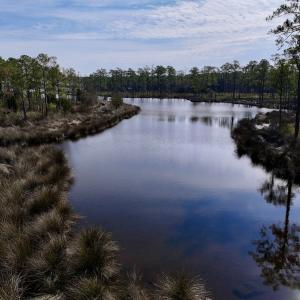 Photo #37 of SOLD property in 794 Wheaton Point Road, Aurora, NC 40.8 acres