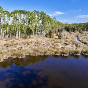 Photo #38 of SOLD property in 794 Wheaton Point Road, Aurora, NC 40.8 acres