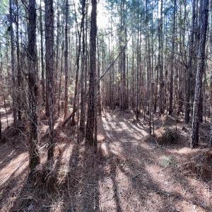 Photo #50 of SOLD property in 794 Wheaton Point Road, Aurora, NC 40.8 acres