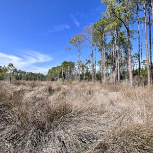 Photo #53 of SOLD property in 794 Wheaton Point Road, Aurora, NC 40.8 acres