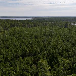 Photo #55 of SOLD property in 794 Wheaton Point Road, Aurora, NC 40.8 acres