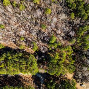 Photo #11 of SOLD property in Off Richland Drive, Red Springs, NC 10.4 acres