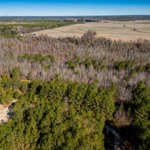 Photo #4 of SOLD property in Off Richland Drive, Red Springs, NC 10.4 acres
