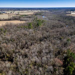 Photo #5 of SOLD property in Off Richland Drive, Red Springs, NC 10.4 acres