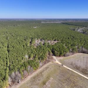 Photo #2 of SOLD property in Off Rehoboth Church Rd, Jackson, NC 162.7 acres