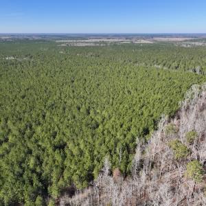Photo #12 of SOLD property in Off Rehoboth Church Rd, Jackson, NC 162.7 acres