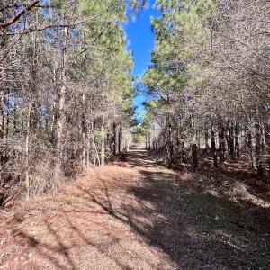 Photo #7 of SOLD property in Off Rehoboth Church Rd, Jackson, NC 162.7 acres